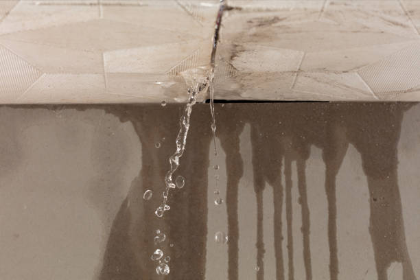 Professional Burst Pipe Cleanup technician working in Bruno, WV